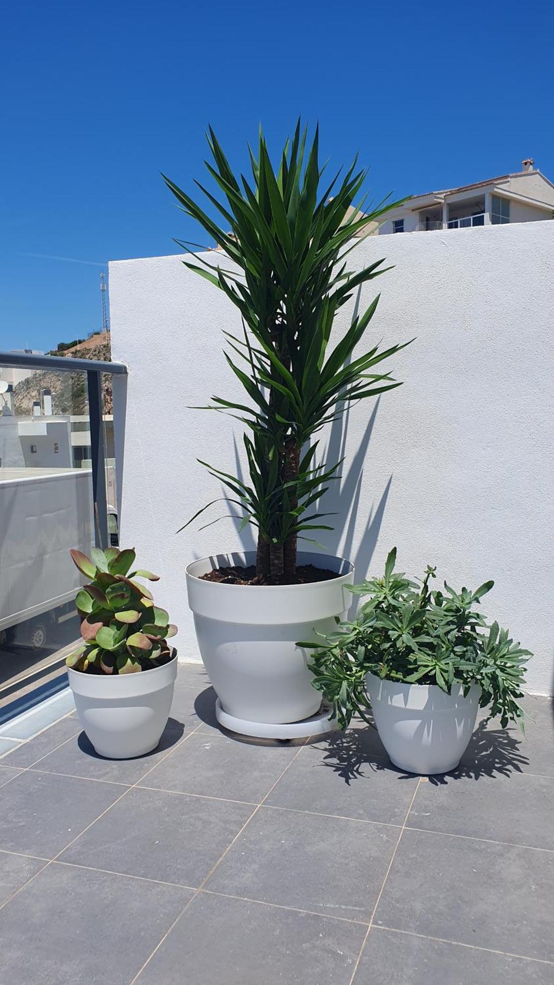 Casa Buena Vista Con Piscina Y Ascensor Villa Кулера Екстериор снимка